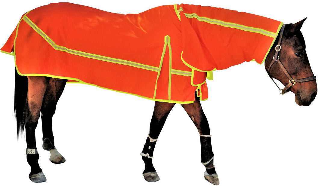 1_6f902e5c-a198-434b-bb5e-