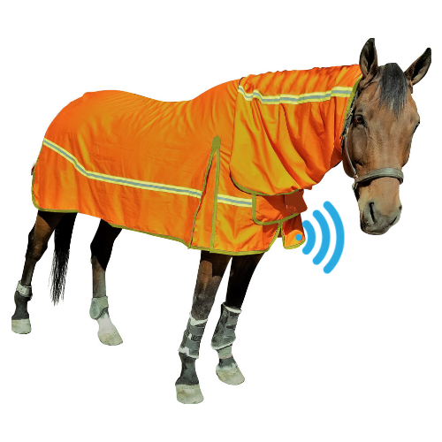 Equisafe Blanket