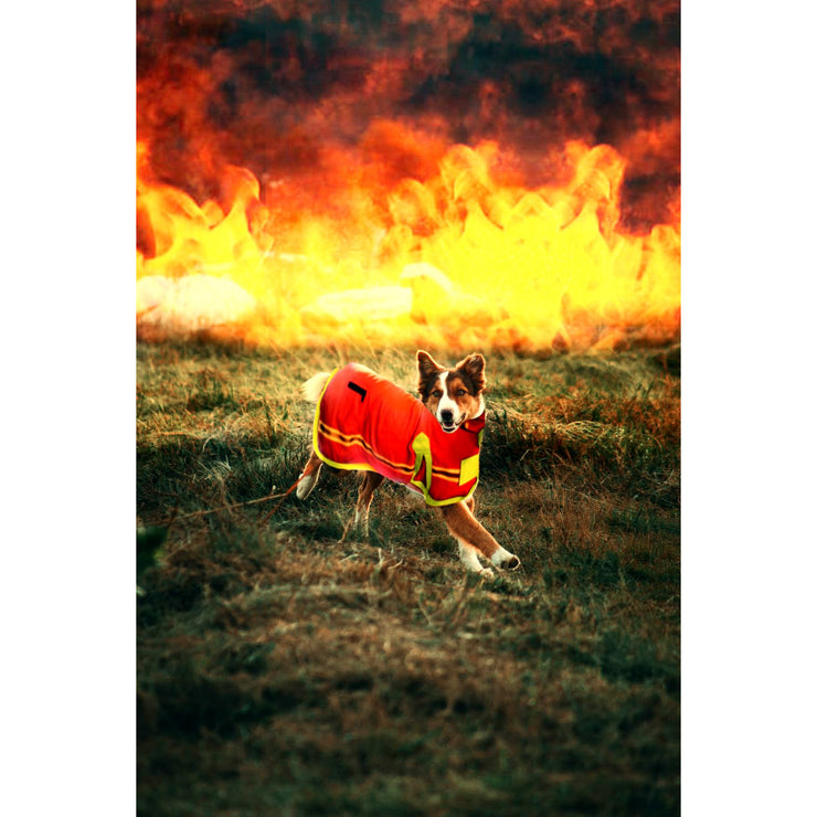 Fully Fire Retardant Pet Jacket by DALIA MACPHEE